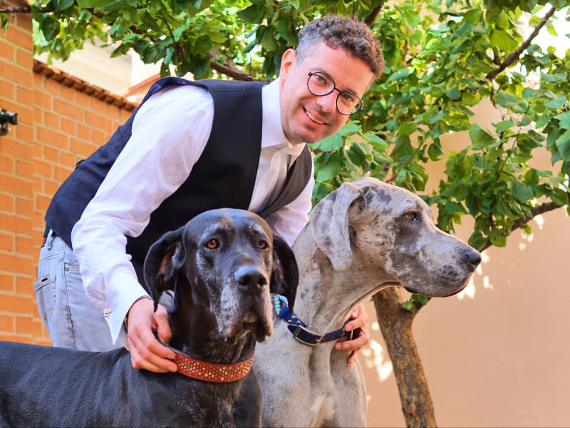 Wachhunde Molly und Max